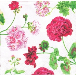 Serwetka  -1546- pelargonie